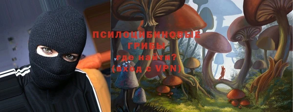 дживик Горняк