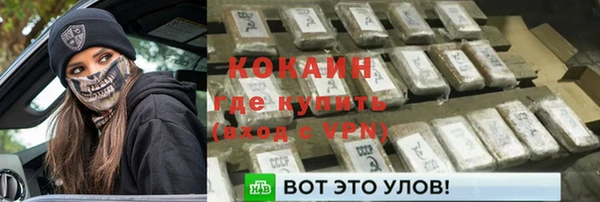 дживик Горняк