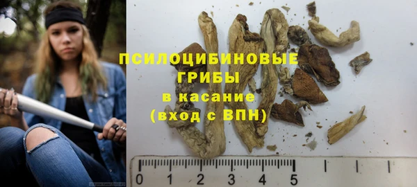 дживик Горно-Алтайск