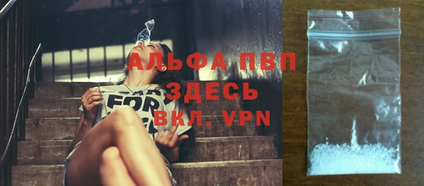 дживик Горняк
