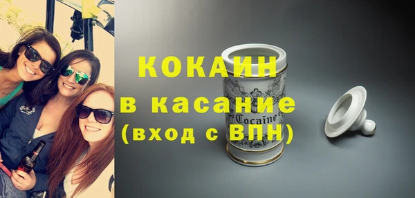 дживик Горняк