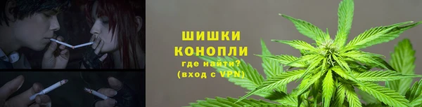ПСИЛОЦИБИНОВЫЕ ГРИБЫ Гусь-Хрустальный