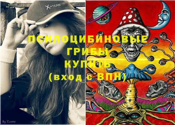дживик Горняк