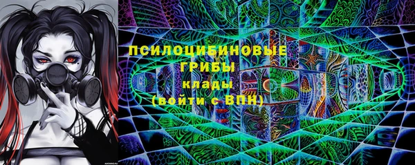 дживик Горняк