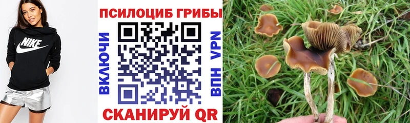 Галлюциногенные грибы Magic Shrooms  shop формула  Октябрьск 